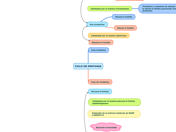 CICLO DE PENTOSAS