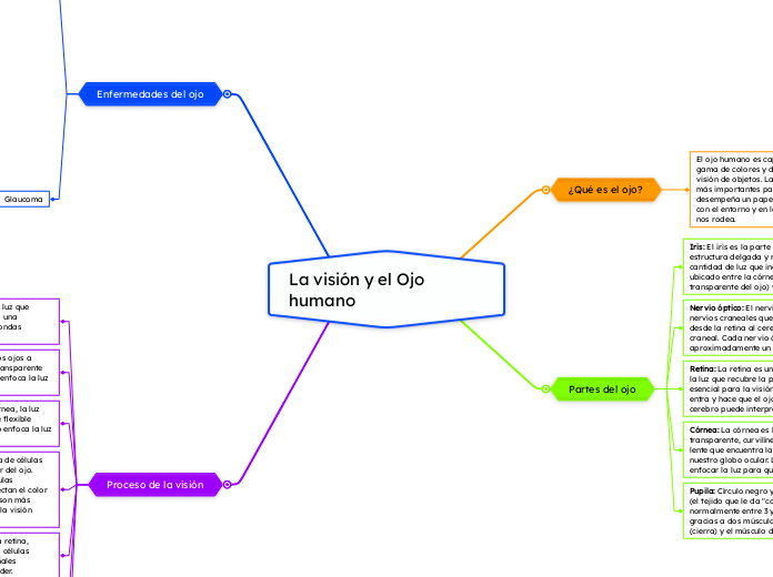 La visión y el Ojo humano