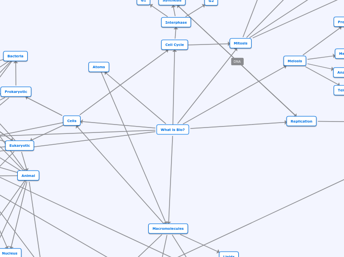 Bio Concept Map