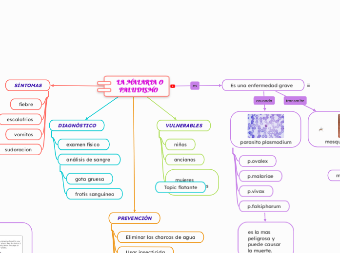 LA MALARIA O 
PALUDISMO   