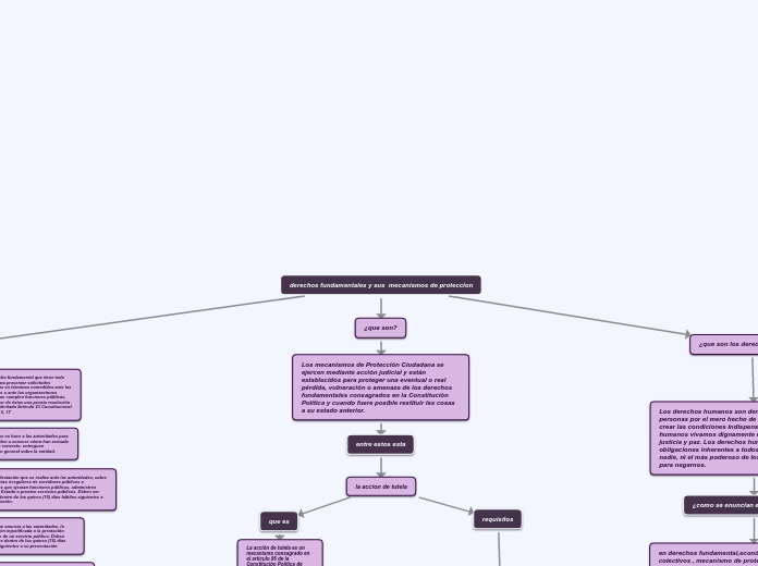 mecanismos de proteccion de los derechos humanos