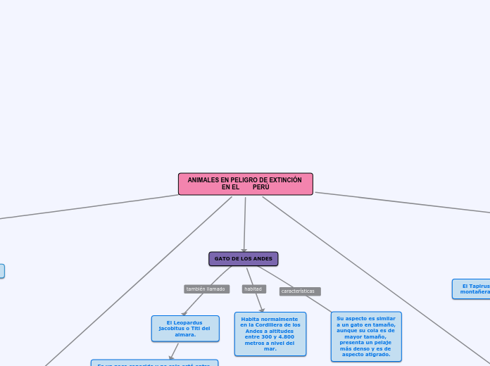 ANIMALES EN PELIGRO DE EXTINCIÓN EN EL        PERÚ