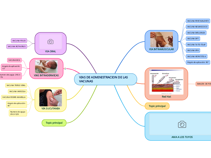 VIAS DE ADMINISTRACION DE LAS VACUNAS