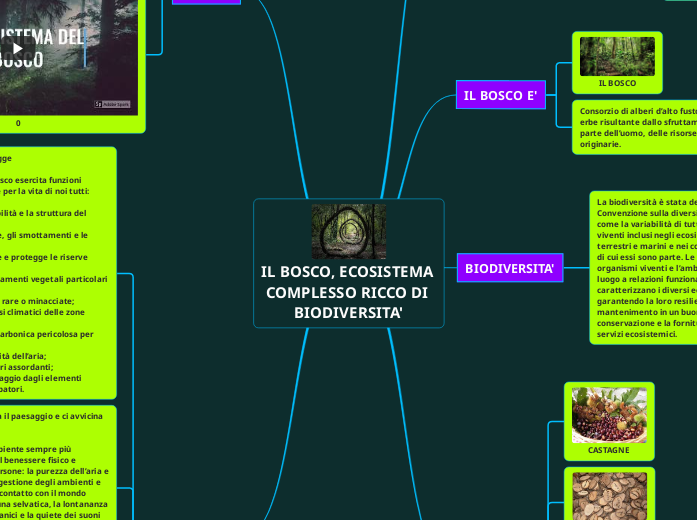 IL BOSCO, ECOSISTEMA COMPLESSO RICCO DI BIODIVERSITA'