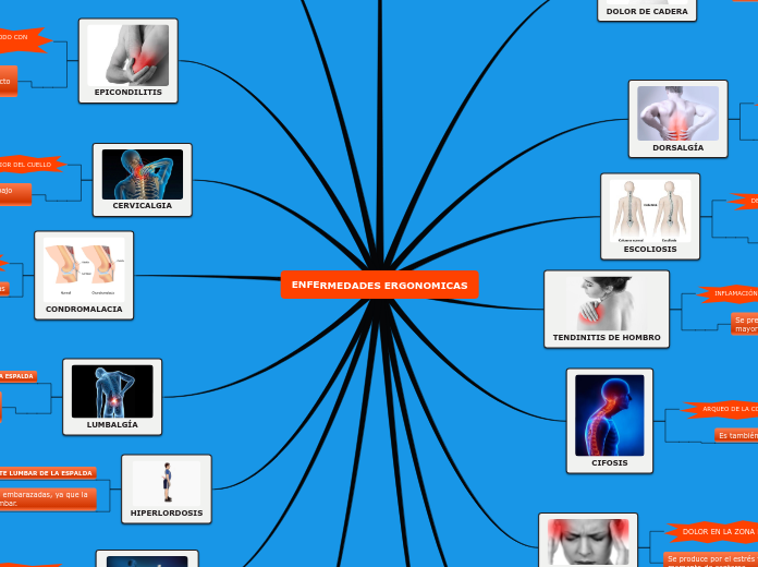 ENFERMEDADES ERGONOMICAS