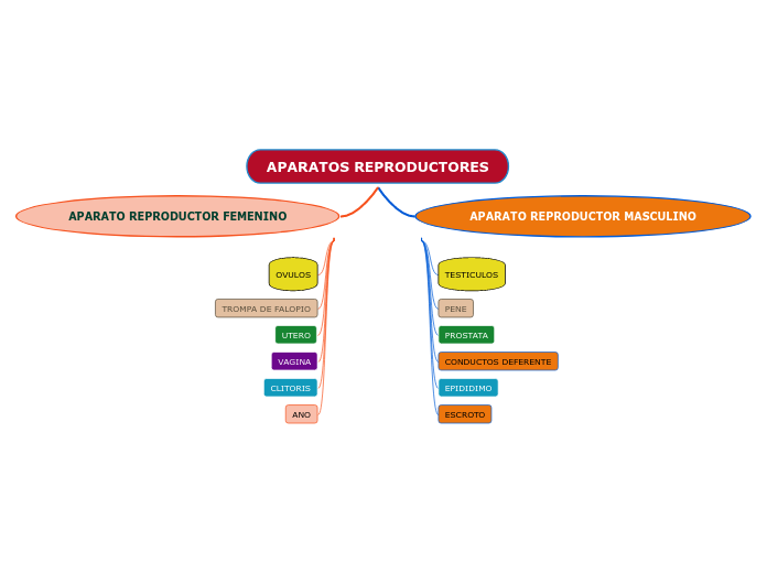 APARATOS REPRODUCTORES