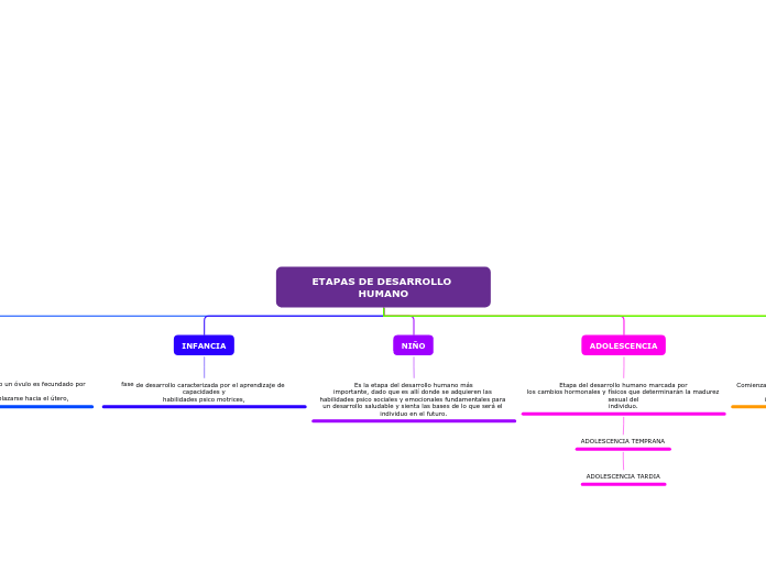 ETAPAS DE DESARROLLO HUMANO