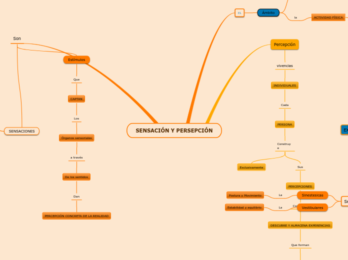 SENSACIÓN Y PERSEPCIÓN
