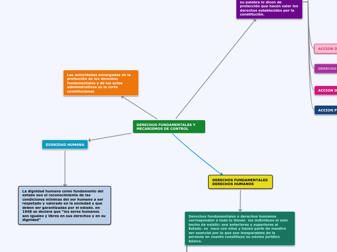 DERECHOS FUNDAMENTALES