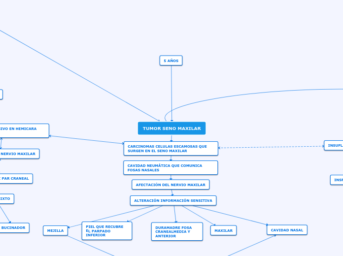 TUMOR SENO MAXILAR