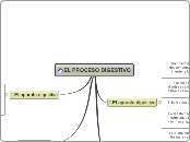 EL PROCESO DIGESTIVO