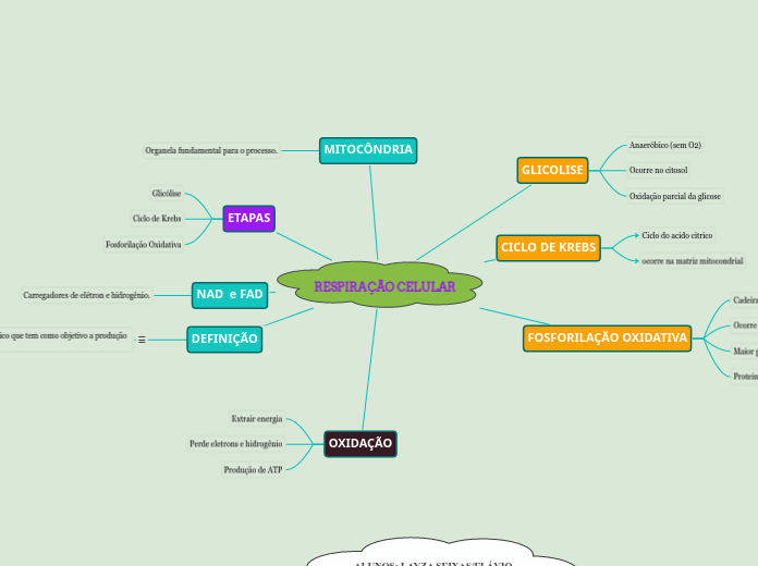 RESPIRAÇÃO CELULAR