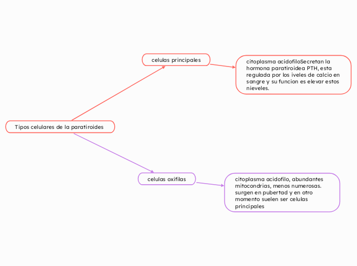 células del tejido conectivo