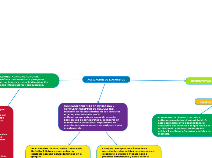 ACTIVACIÓN DE LINFOCITOS