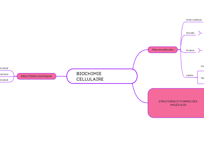 BIOCHIMIE CELLULAIRE