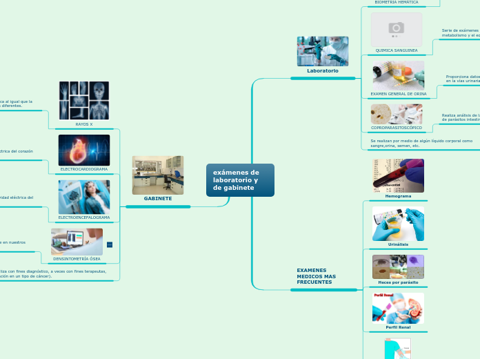EXAMENES DE LABORATORIO Y DE GABINETE
