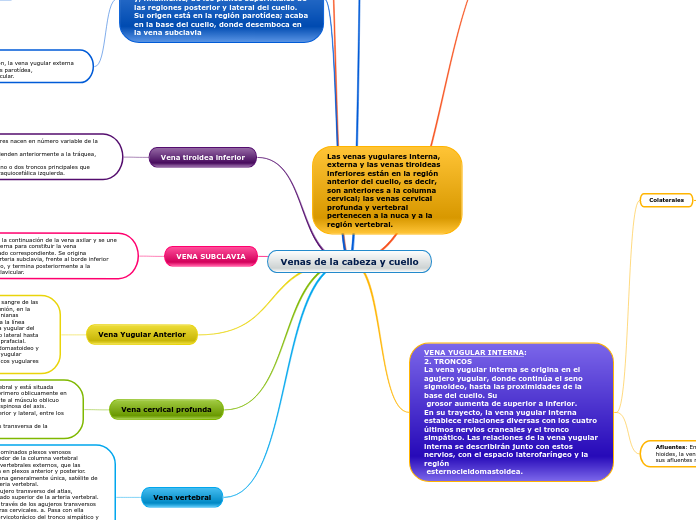 Venas de la cabeza y cuello