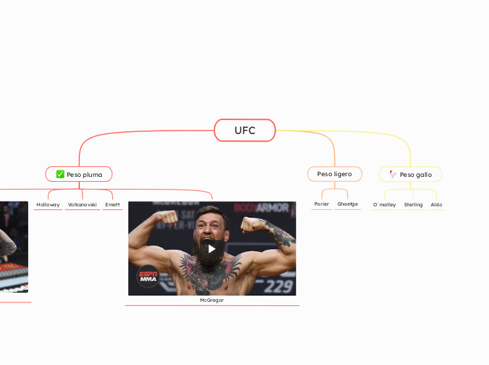 UFC