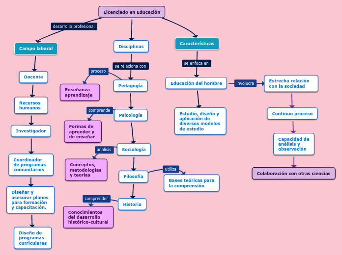 Licenciado en Educación