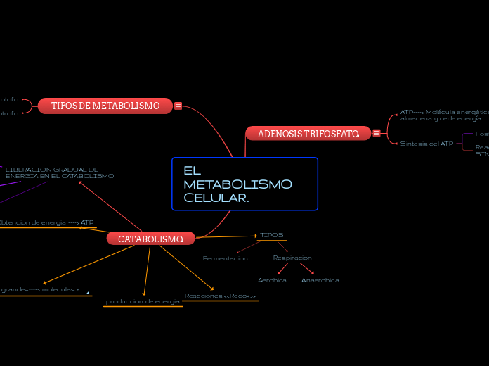 EL METABOLISMO CELULAR.