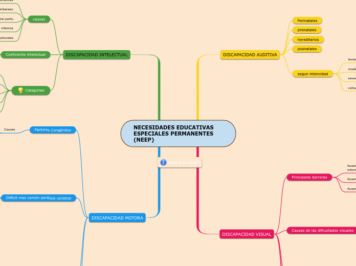 NECESIDADES EDUCATIVAS ESPECIALES PERMANENTES        (NEEP)