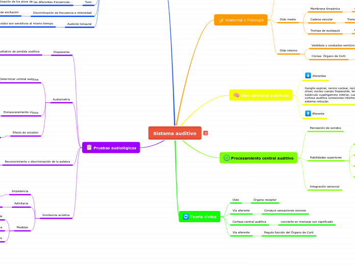 Sistema auditivo