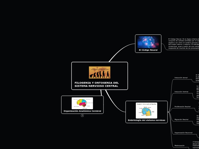 FILOGENIA Y ONTOGENIA DEL SISTEMA NERVIOSO CENTRAL