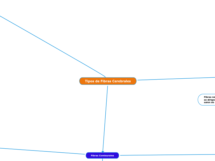 Tipos de Fibras Cerebrales