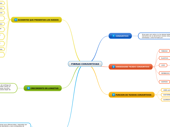 FIBRAS CONJUNTIVAS