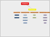 Estructura organizacional