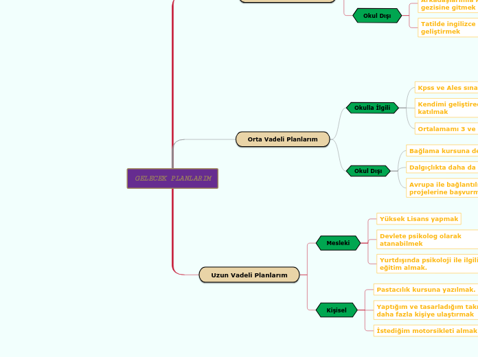 GELECEK PLANLARIM