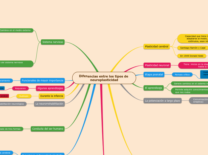 Diferencias entre los tipos de neuroplasticidad