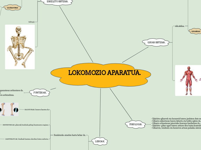 LOKOMOZIO APARATUA.