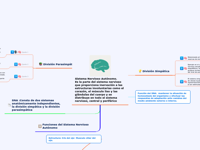 Sistema Nervioso Autónomo.      Es la parte del sistema nervioso que proporciona inervación a las estructuras involuntarias como el corazón, el músculo liso y las glándulas del cuerpo y se distribuye en todo el sistema nervioso, central y periférico