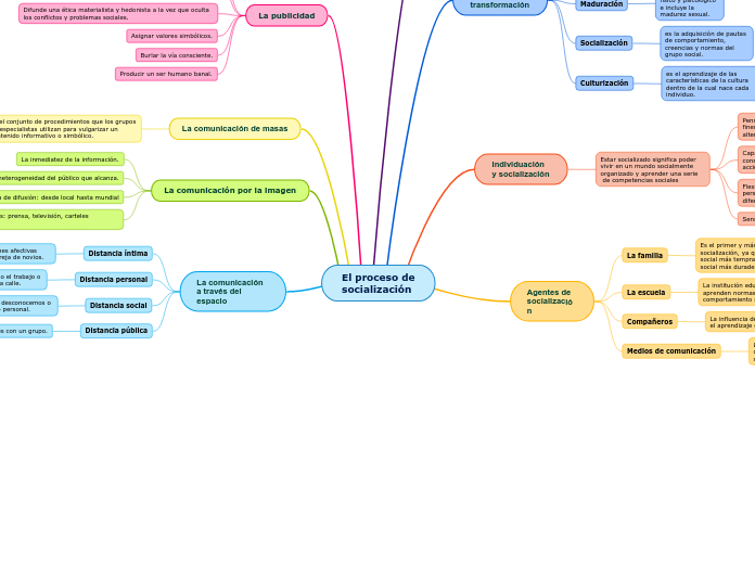 El proceso de socialización