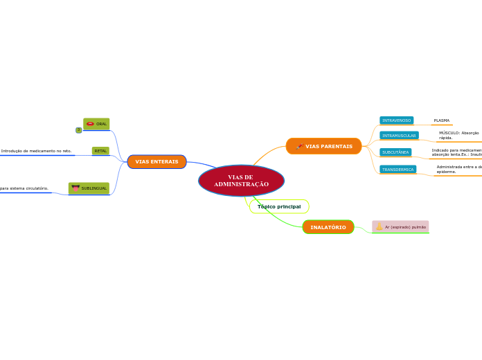 VIAS DE ADMINISTRAÇÃO