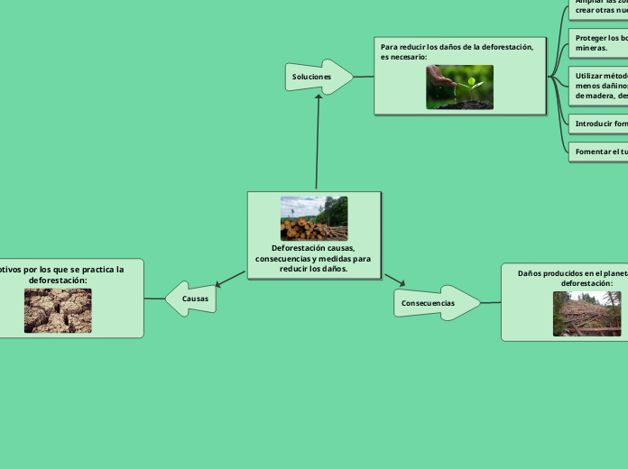 Deforestación causas, consecuencias y medidas para reducir los daños.