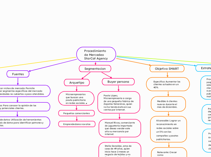 Procedimiento de Mercadeo StarCat Agency