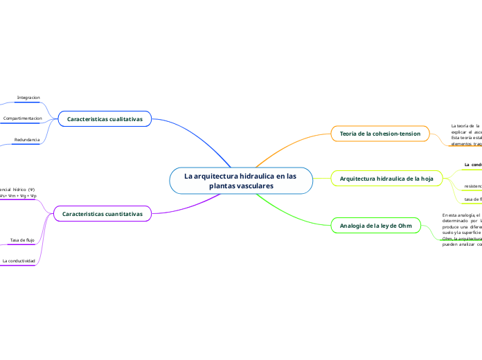 La arquitectura hidraulica en las plantas vasculares