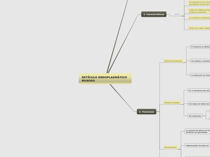 RETÍCULO ENDOPLASMÁTICO RUGOSO