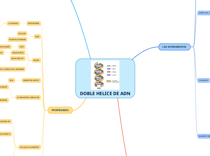 DOBLE HELICE DE ADN