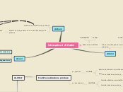 Sample Mind Map