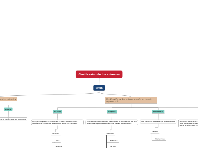 Clasificasion de los animales