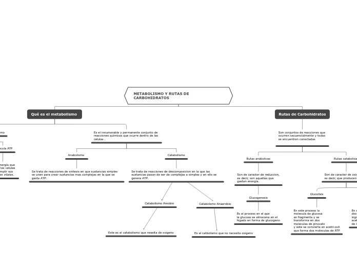 METABOLISMO Y RUTAS DE CARBOHIDRATOS