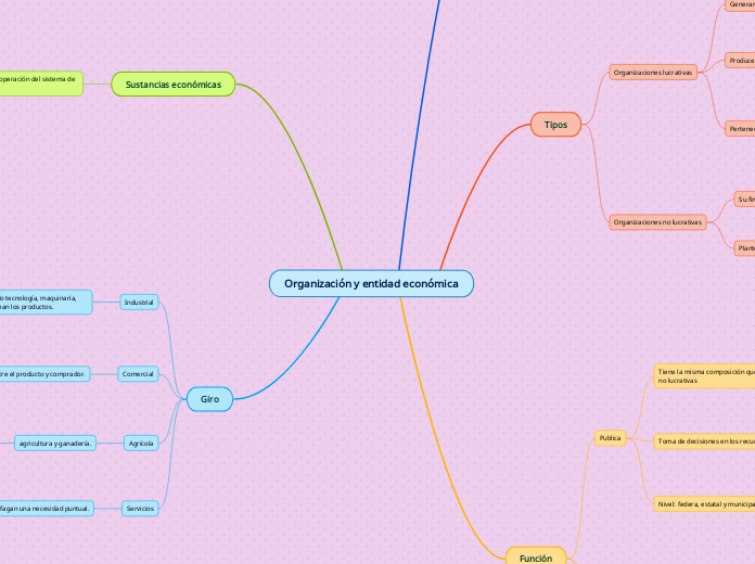 Organización y entidad económica