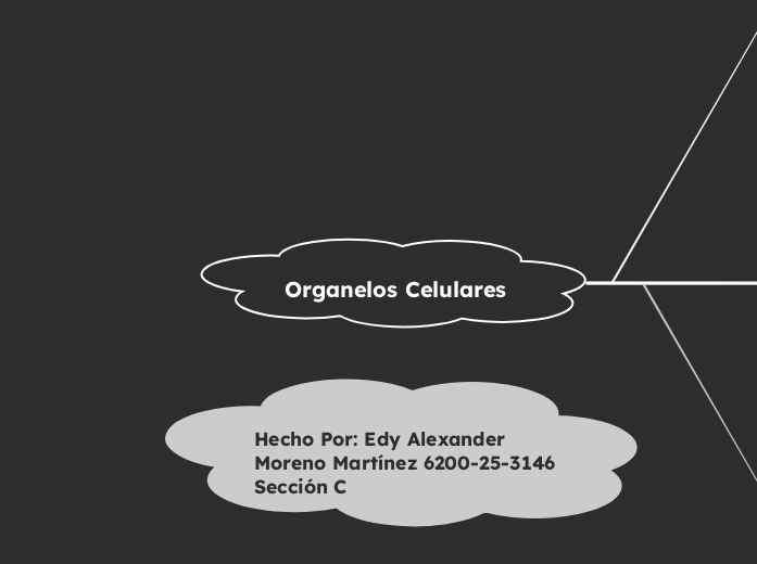  Organelos Celulares