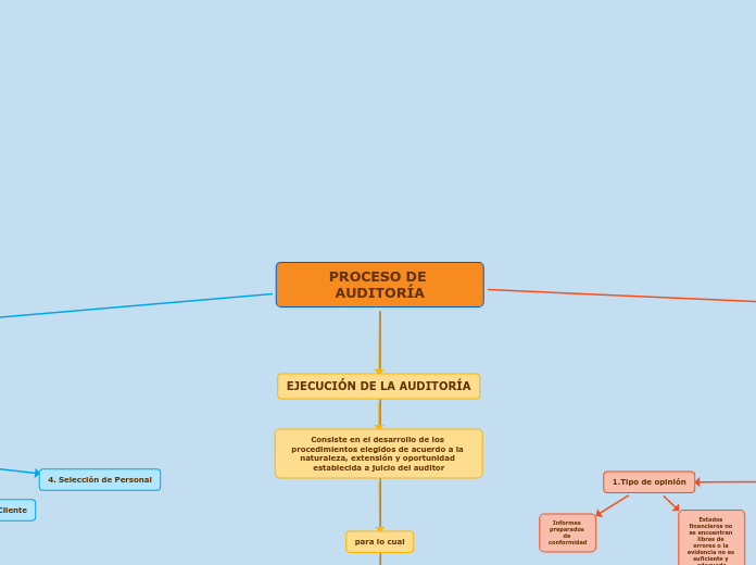 PROCESO DE AUDITORÍA CEIPA