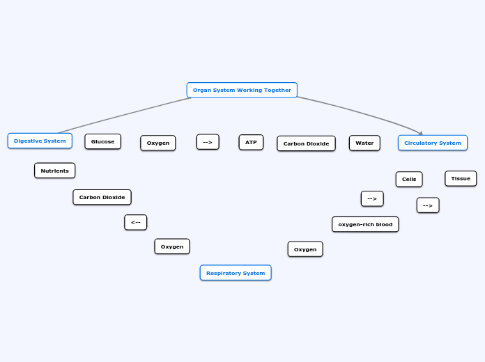 Organ System Working Together