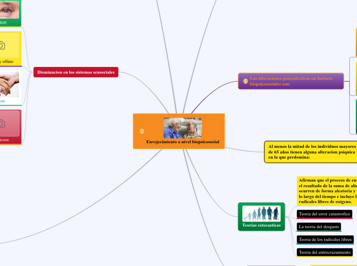 Envejecimiento a nivel biopsicosocial