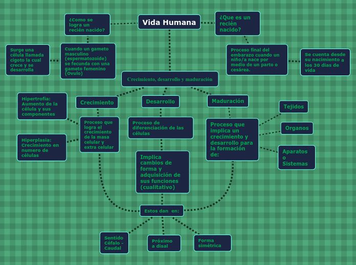 Crecimiento, desarrollo y maduración